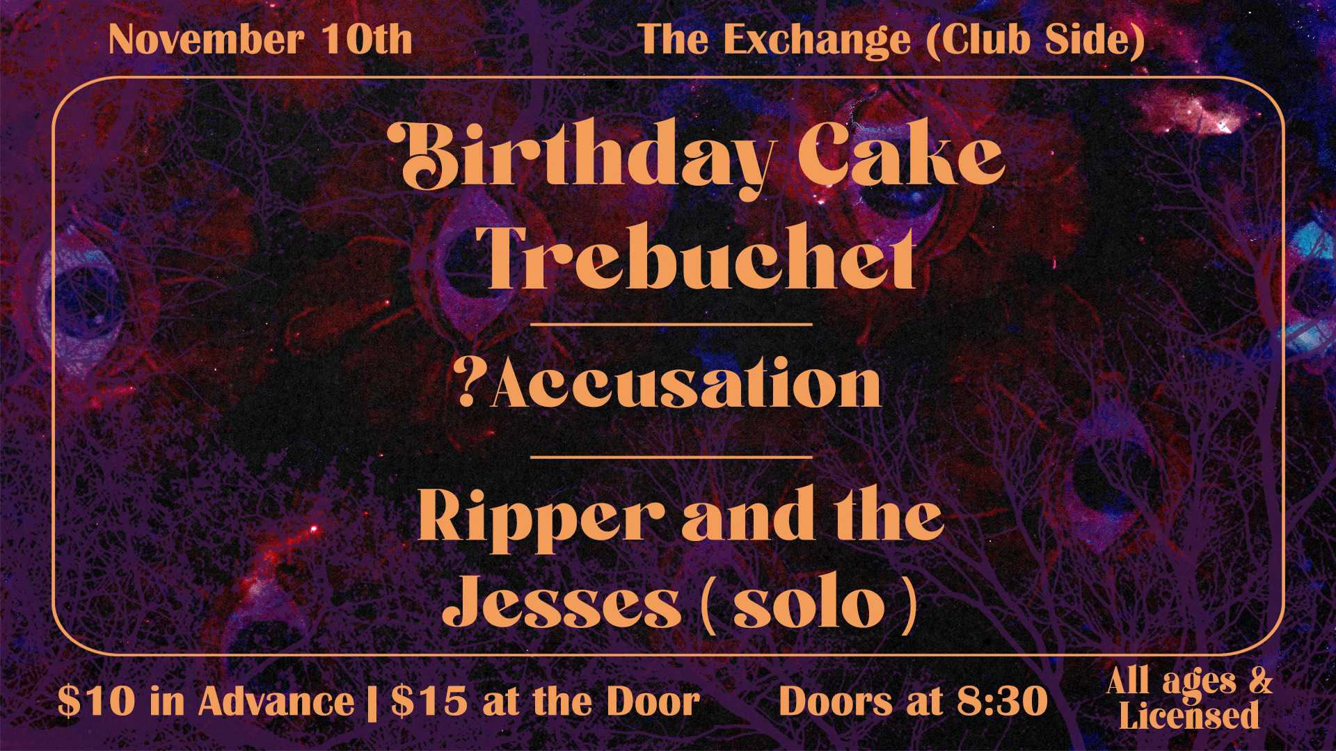 Birthday Cake Trebuchet, ?accusation, Ripper and the Jesses (Solo)