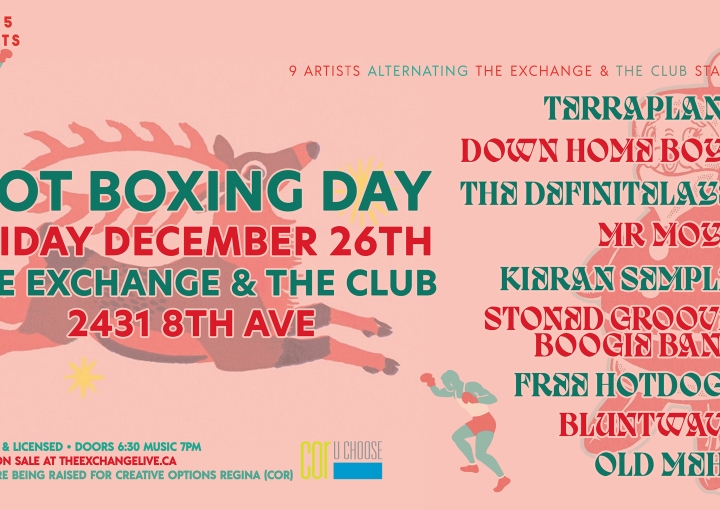 Hot Boxing Day w/Terraplane, Down Home Boys, The Definitelays, Mr Moya, Kieran Semple, Stoned Groove Boogie Band, Free Hotdogs, Bluntwave, Old Mehl