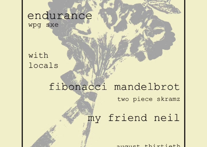 Leavesliketinyflames, Endurance, Fibonaccimandelbrot, My Friend Neil